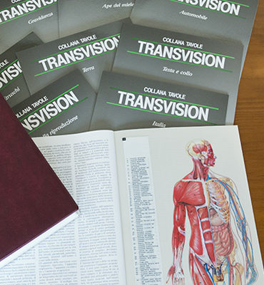 Tavole Transvision