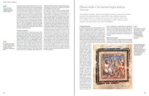 Il saggio Dioscoride e la farmacopea antica di Valentina Gazzaniga sull’Antichità di Federico Motta Editore.