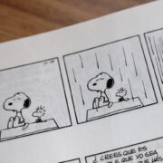 Snoopy and Woodstock. Una striscia dei Peanuts