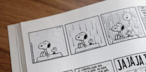 Snoopy and Woodstock. Una striscia dei Peanuts
