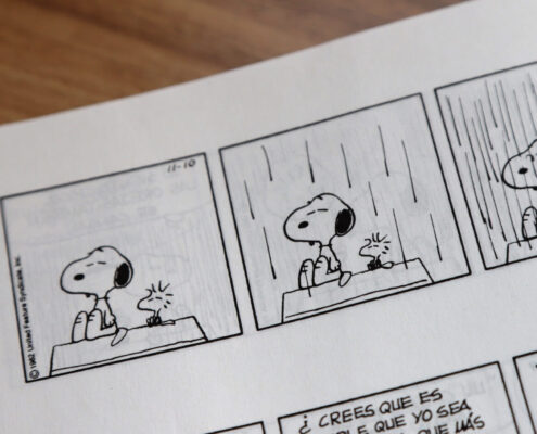 Snoopy and Woodstock. Una striscia dei Peanuts