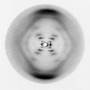 La celebre Foto 51 scattata scattata materialmente da Raymond Gosling sotto la guida e supervisione di Rosalind Franklin, permise agli scienziati di capire la struttura del Dna
