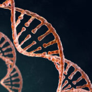La struttura del DNA, con il celebre modello a doppia elica