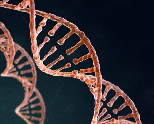 La struttura del DNA, con il celebre modello a doppia elica