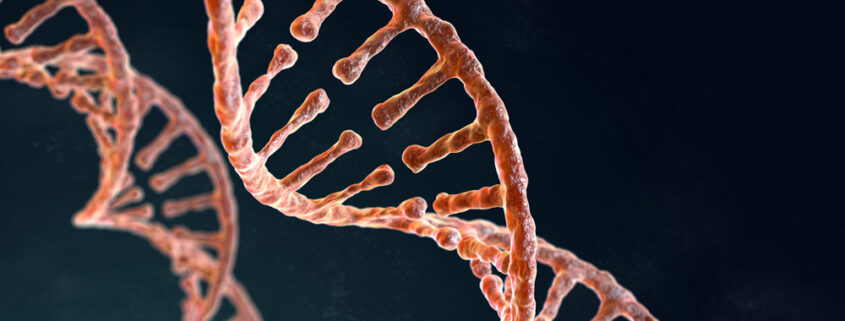 La struttura del DNA, con il celebre modello a doppia elica